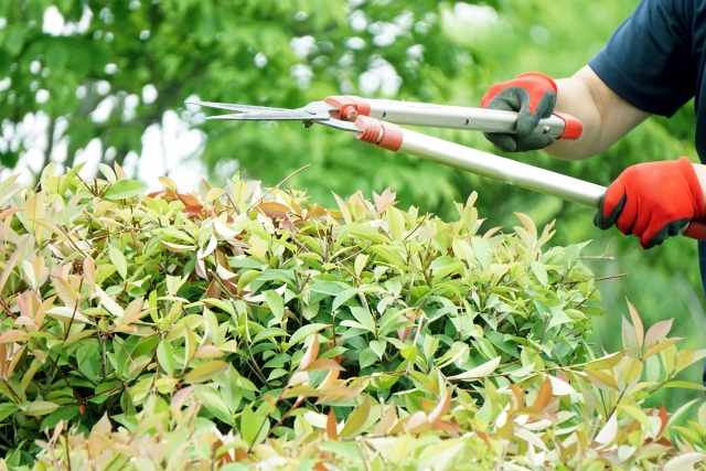 株式会社清光園緑地の正社員 職人・現場スタッフ お庭・植木 公園・公共施設求人イメージ