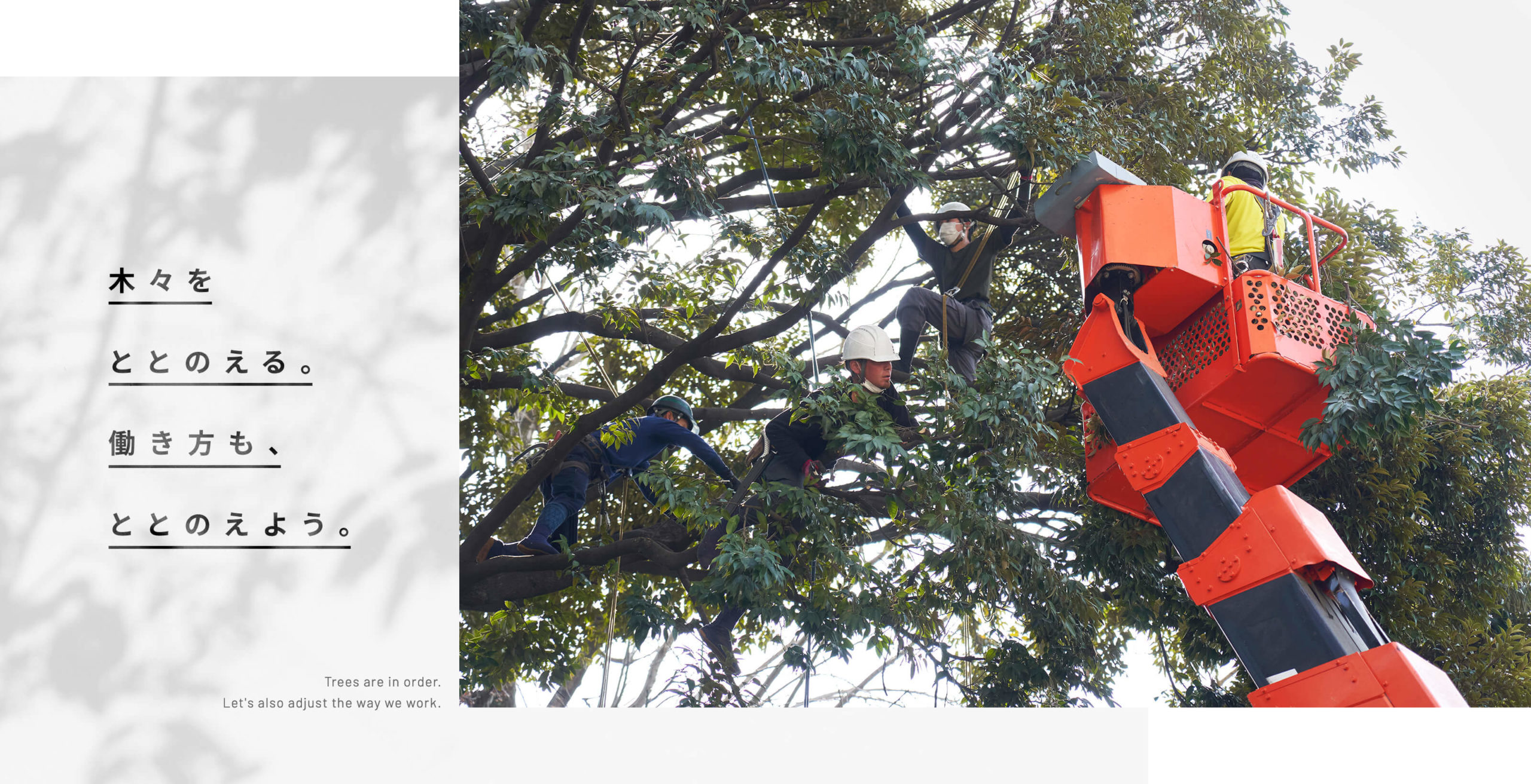 株式会社双葉苑のアルバイト・パート 職人・現場スタッフ 都市緑化・ランドスケープ 公園・公共施設の求人情報イメージ1