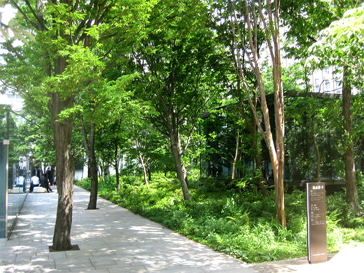 内山緑地建設株式会社 関東支店の契約社員 施工管理（工事） 都市緑化・ランドスケープ 公園・公共施設求人イメージ