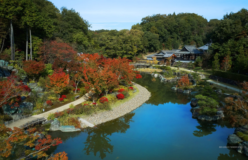 株式会社中根庭園研究所の正社員 職人・現場スタッフ お庭・植木 公園・公共施設の求人情報イメージ4