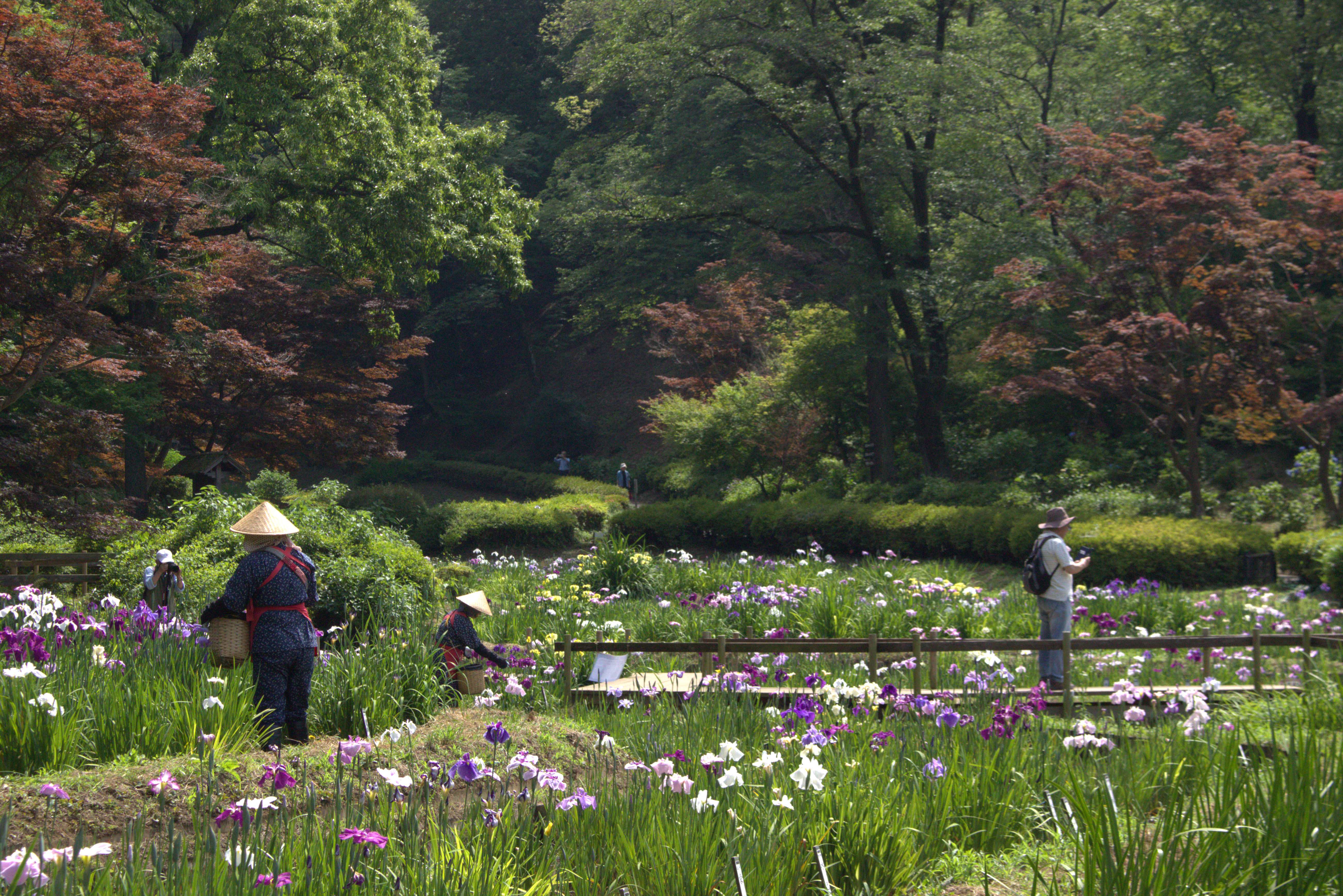 株式会社富士植木 町田薬師池公園四季彩の杜 薬師池の契約社員 公園・施設管理 公園・公共施設求人イメージ