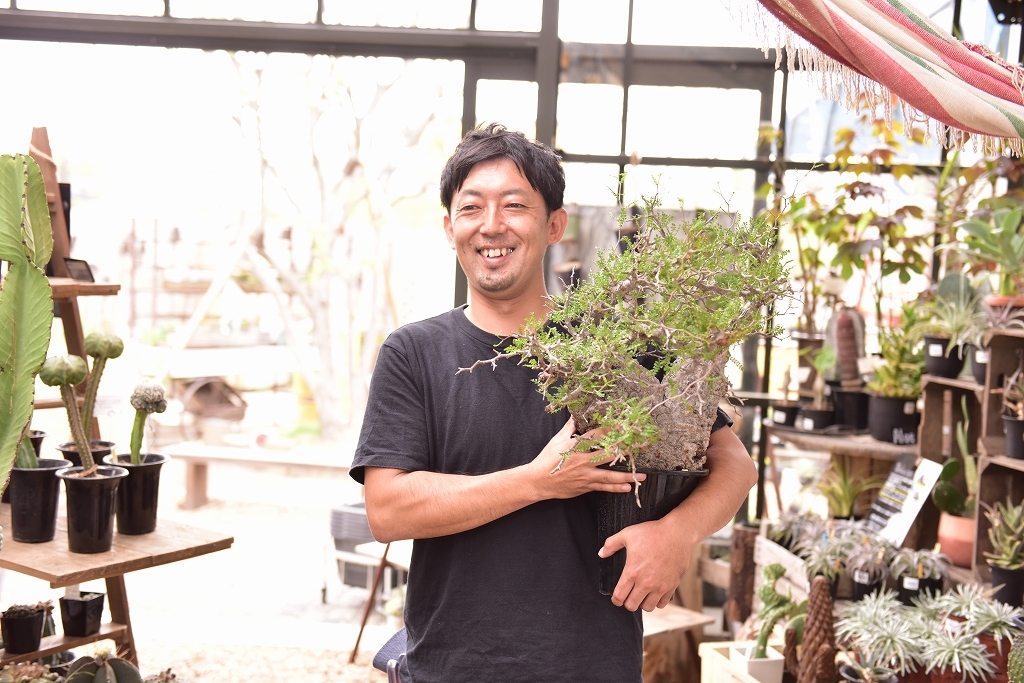 総合園芸店店舗スタッフ マネージャー候補 の求人情報詳細 造園 エクステリアのお仕事探しならみどり求人ナビ