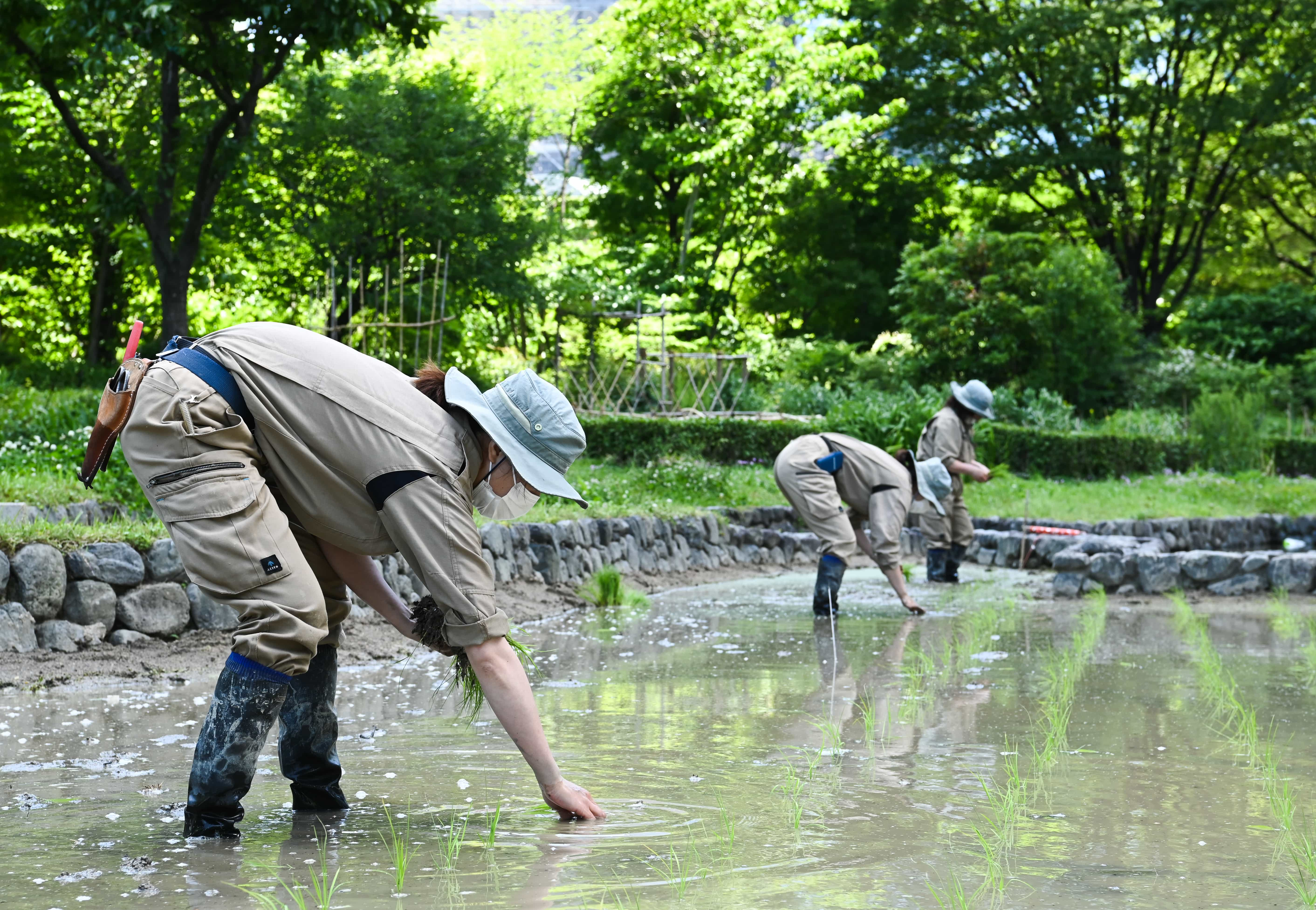 写真