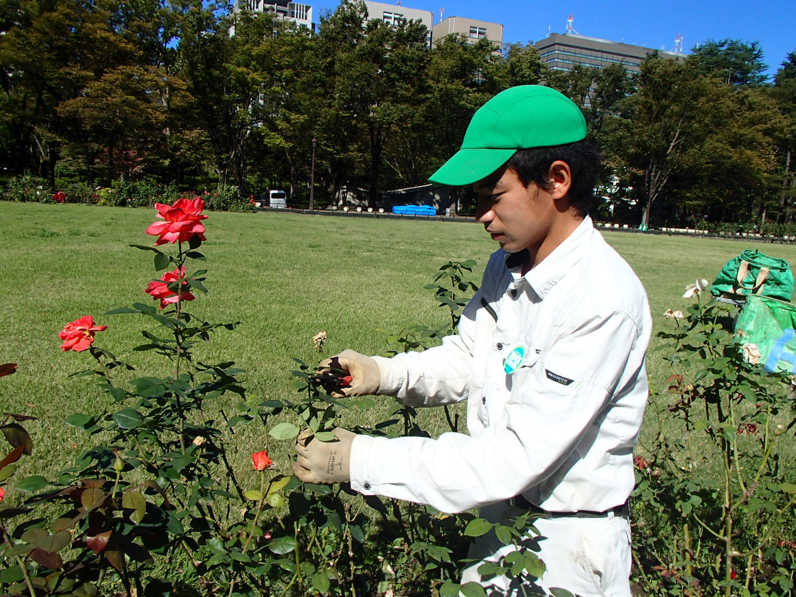 写真